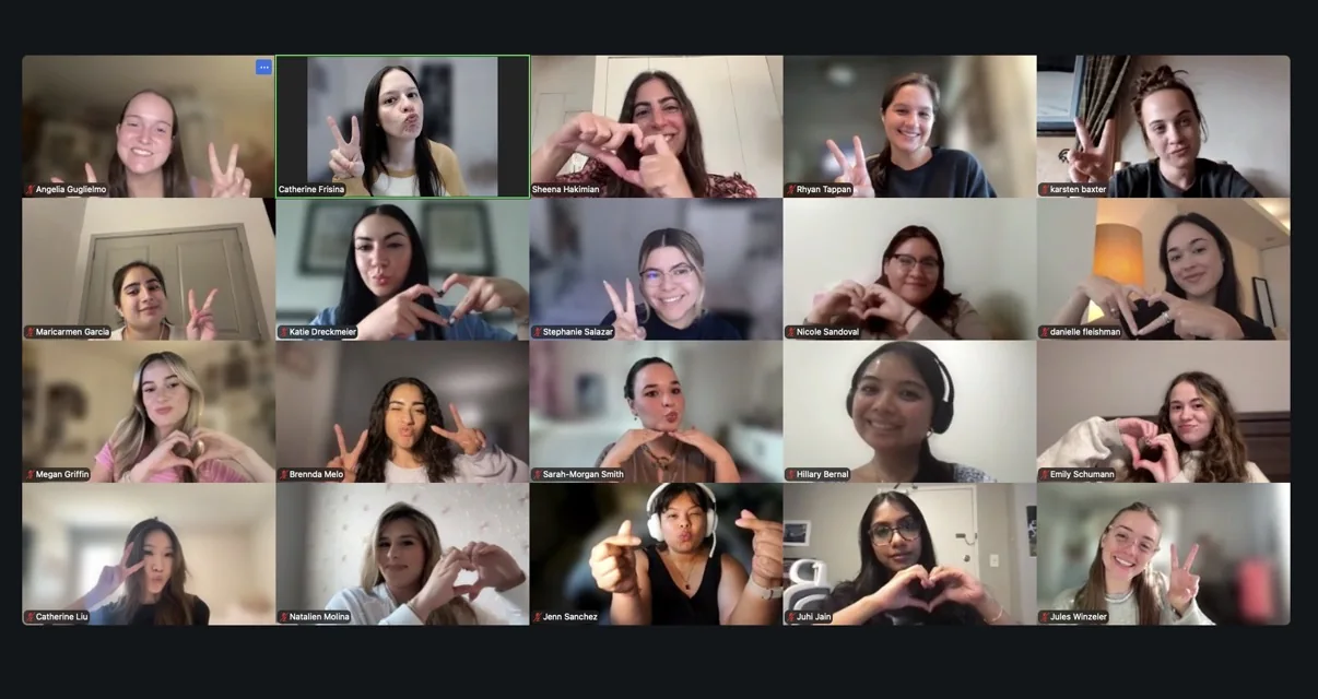 Participants in a virtual group session on a video call